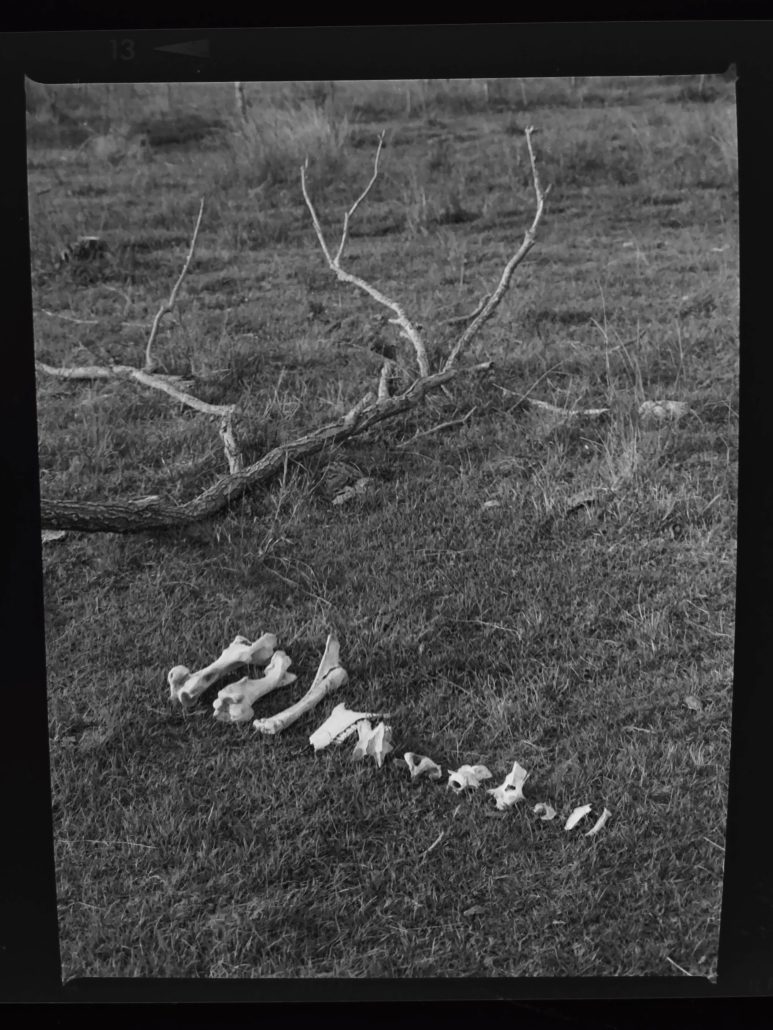 AN2026-Show&Tell © Kaspar Mattamann