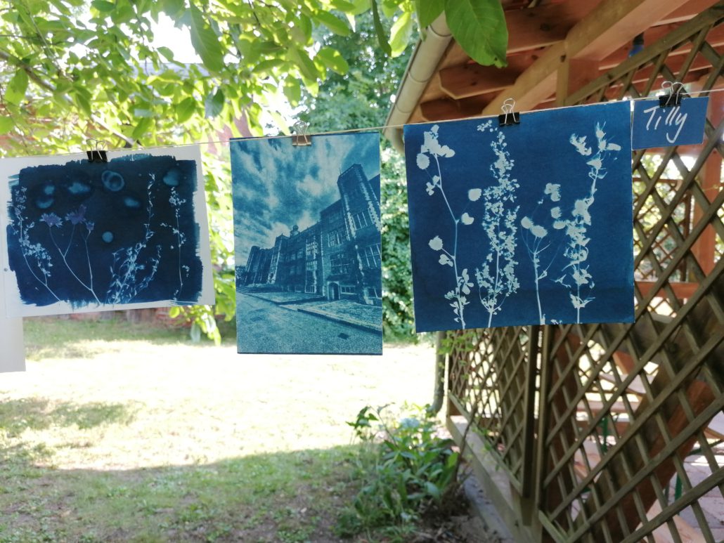 MobileDunkelkammer_SabineAlex_Cyanotypie_01